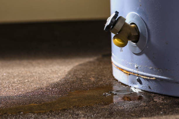 Best Flood restoration services  in Salem, AR