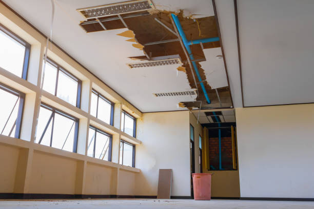 Best Basement water damage restoration  in Salem, AR