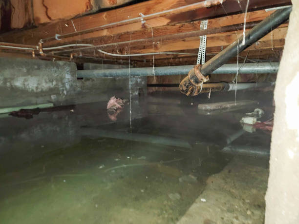 Best Commercial water damage restoration  in Salem, AR