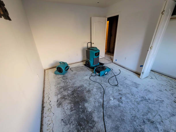 Best Water damage restoration near me  in Salem, AR