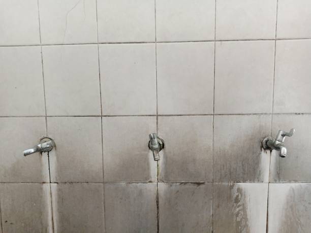 Reliable Salem, AR Water damage restoration Solutions