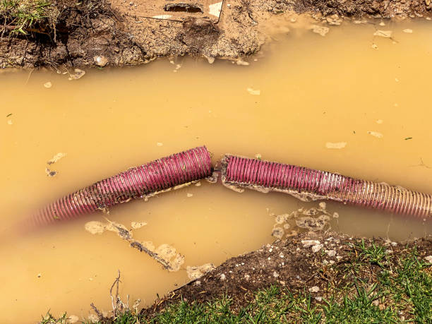 Best Residential water damage restoration  in Salem, AR