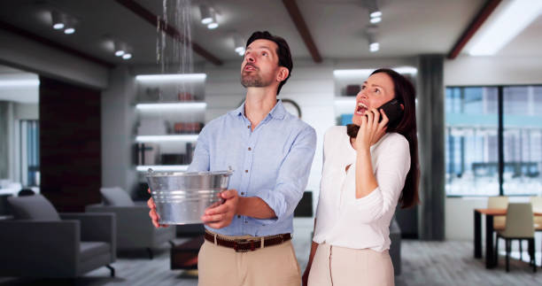 Best Flood damage cleanup  in Salem, AR